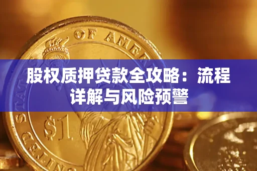 北京股权质押贷款全攻略：流程详解与风险预警