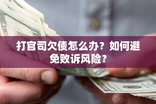 北京打官司欠债怎么办？如何避免败诉风险？